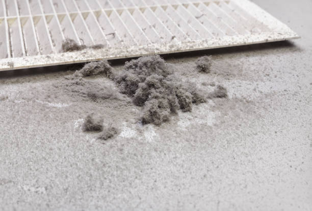 Best Affordable Duct Cleaning Services  in Mcdade, TX